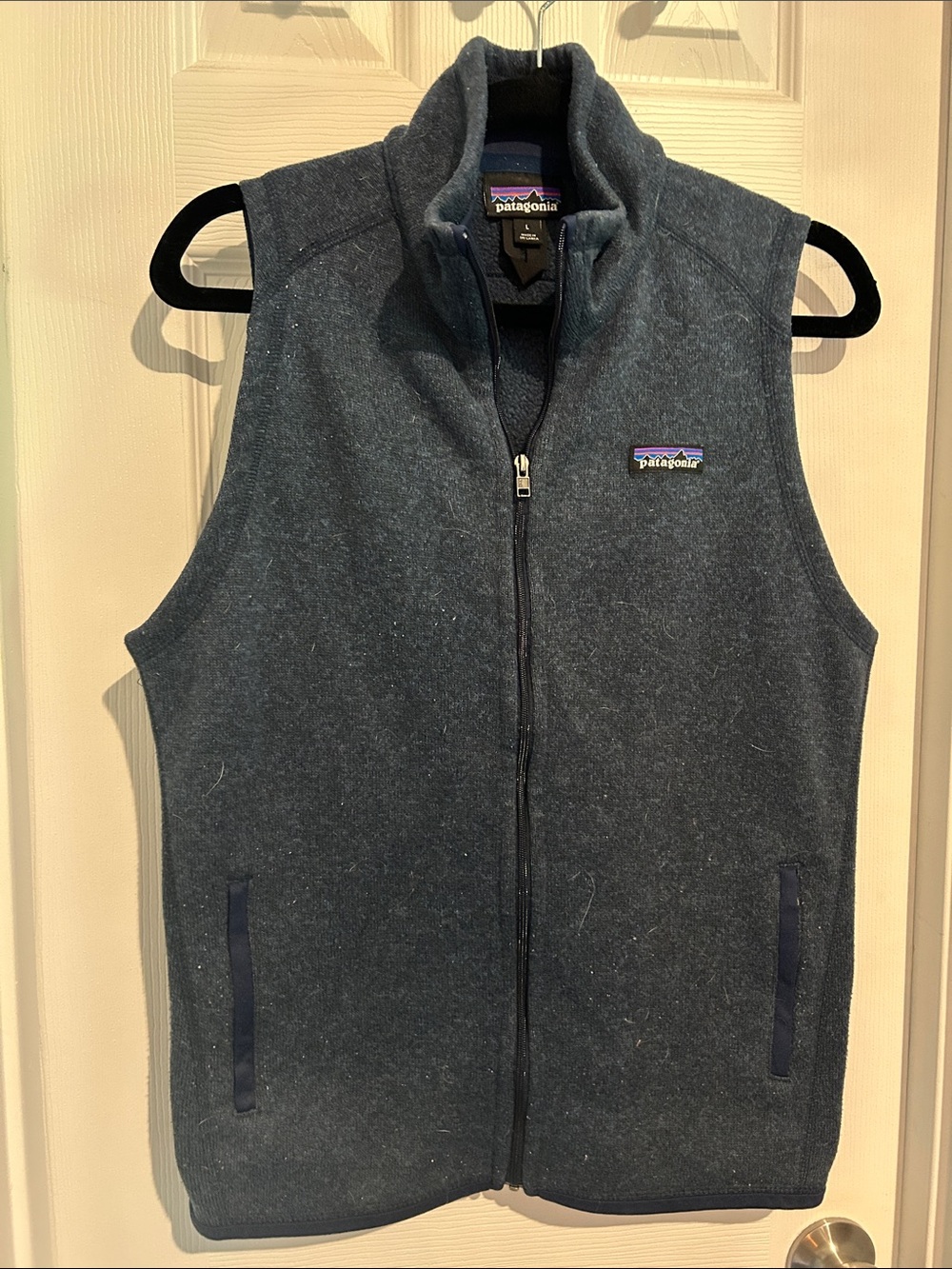 Patagonia Navy Full-Zip Fleece Vest